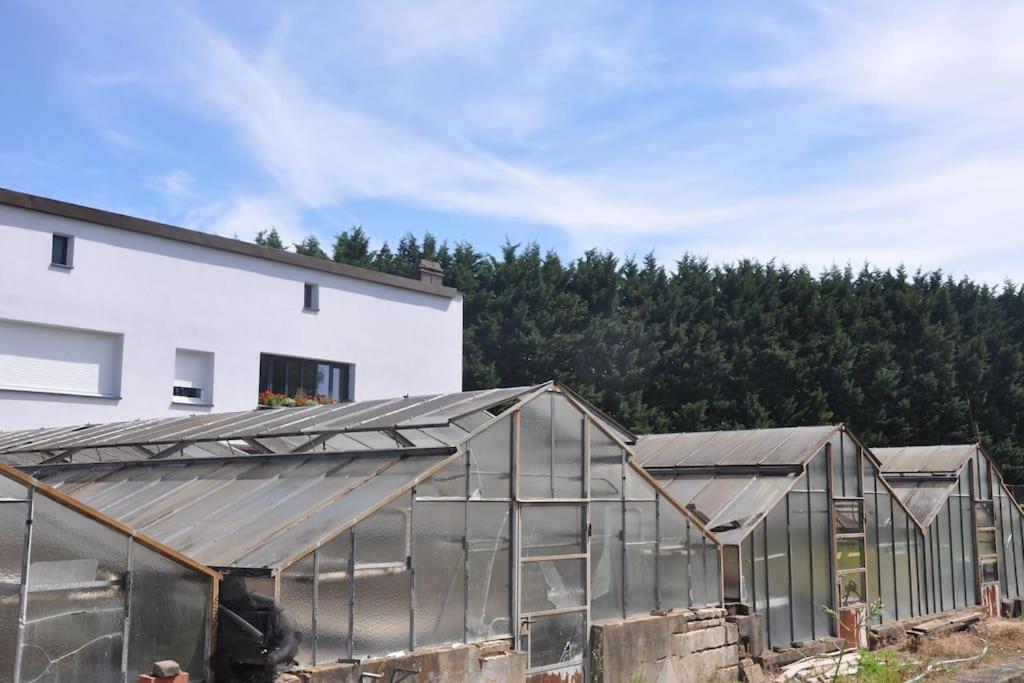 Gite St Nicolas Ancien Corps De Ferme Horticole Freyming-Merlebach Eksteriør billede
