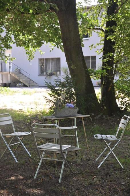 Gite St Nicolas Ancien Corps De Ferme Horticole Freyming-Merlebach Eksteriør billede